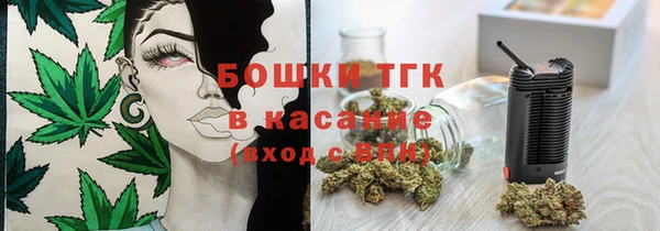 2c-b Гусев