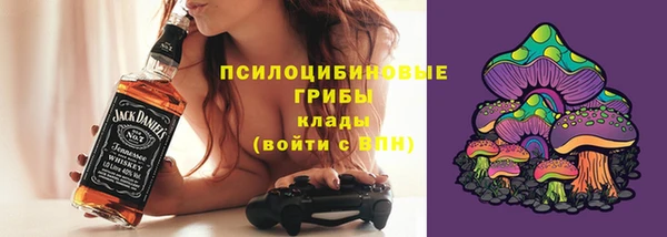 спиды Щигры