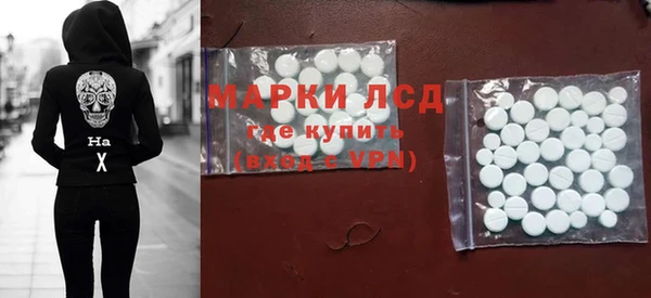 ГАЛЛЮЦИНОГЕННЫЕ ГРИБЫ Щучье