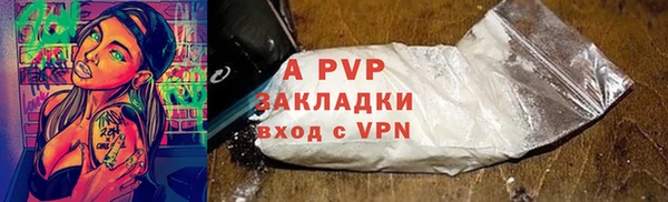 спиды Щигры