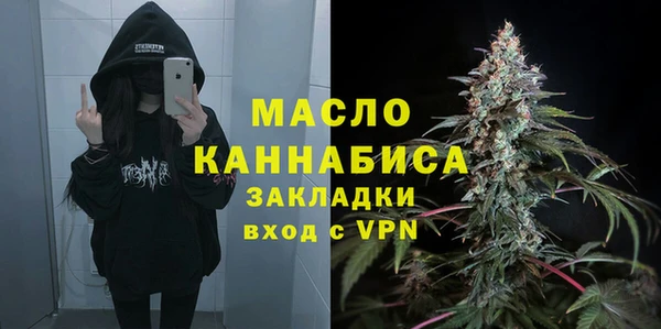 2c-b Гусев