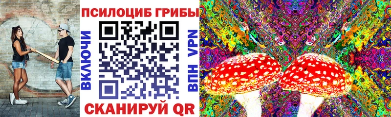 Галлюциногенные грибы Cubensis  сколько стоит  Дмитров 