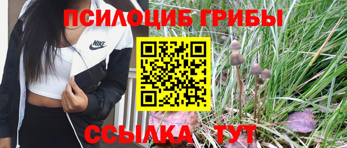 Псилоцибиновые грибы Magic Shrooms Дмитров