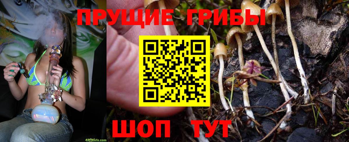 Псилоцибиновые грибы MAGIC MUSHROOMS  Вход с VPN  Галлюциногенные грибы GOLDEN TEACHER  закладка  Дмитров 
